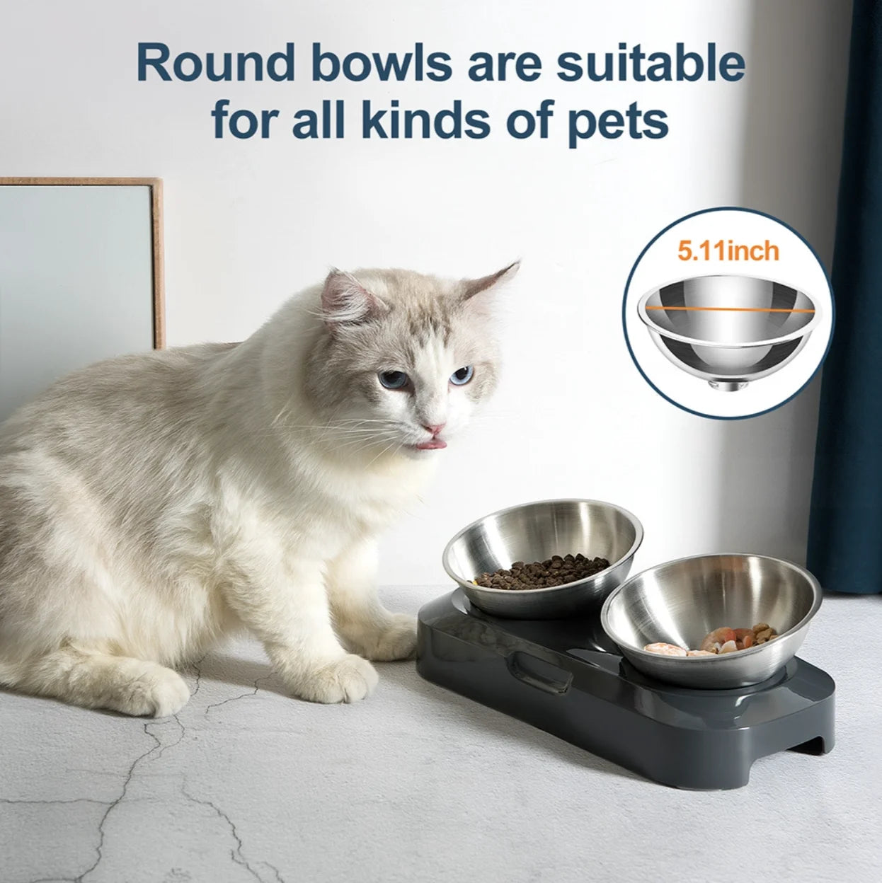Bols D'Alimentation En Acier Inoxydable Pour Animaux De Compagnie, Mangeoires Pour Chats, Mangeoire À Boire Pour Chatons Et Chiots, Jolis Bols, Créatifs Et Inclinés
