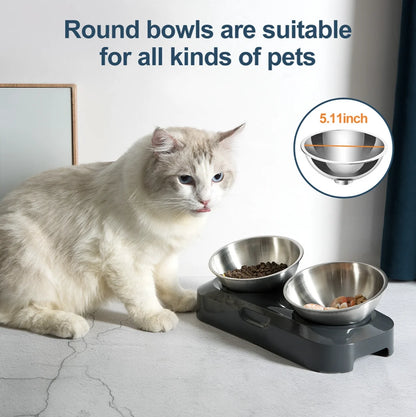 Bols D'Alimentation En Acier Inoxydable Pour Animaux De Compagnie, Mangeoires Pour Chats, Mangeoire À Boire Pour Chatons Et Chiots, Jolis Bols, Créatifs Et Inclinés