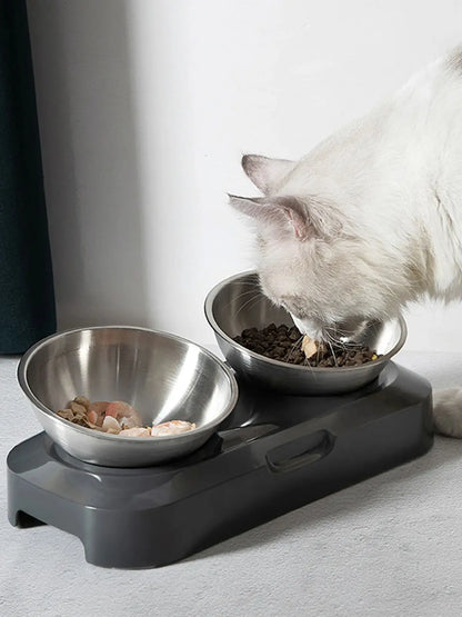 Bols D'Alimentation En Acier Inoxydable Pour Animaux De Compagnie, Mangeoires Pour Chats, Mangeoire À Boire Pour Chatons Et Chiots, Jolis Bols, Créatifs Et Inclinés